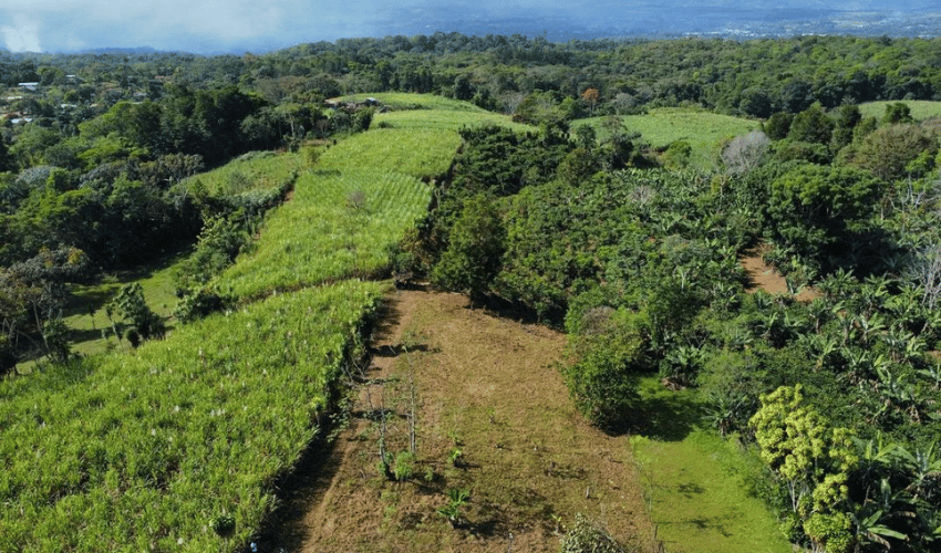 Santa Elena, Perez Zeledon, 11905, ,Land,For Sale,Santa Elena,1089