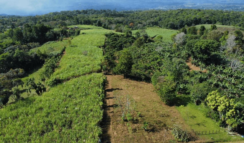 Santa Elena, Perez Zeledon, 11905, ,Land,For Sale,Santa Elena,1089