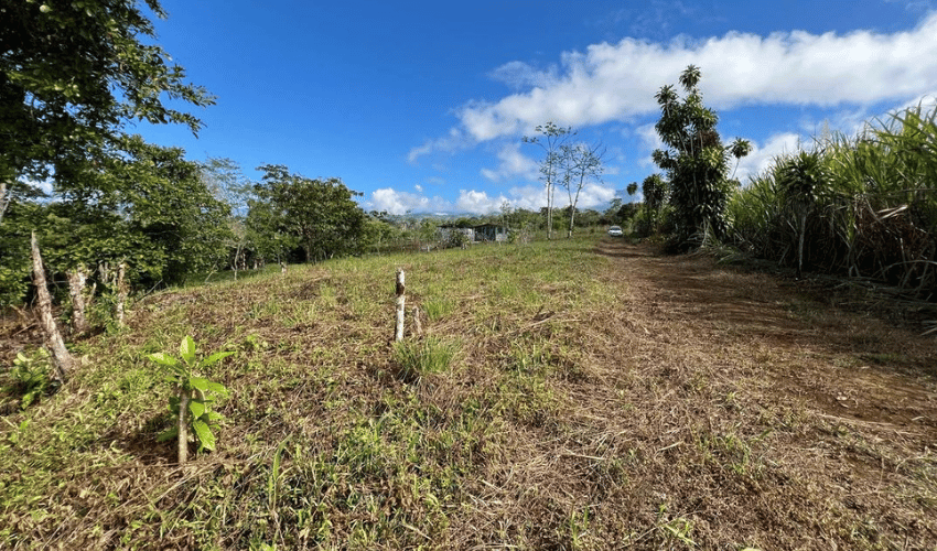 Santa Elena, Perez Zeledon, 11905, ,Land,For Sale,Santa Elena,1089