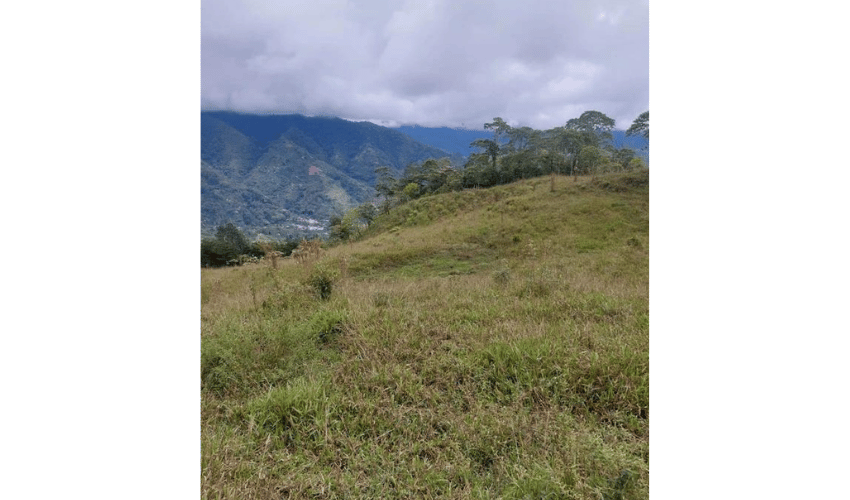 Rivas, Perez Zeledon, 11904, ,Land,For Sale,Rivas,1090