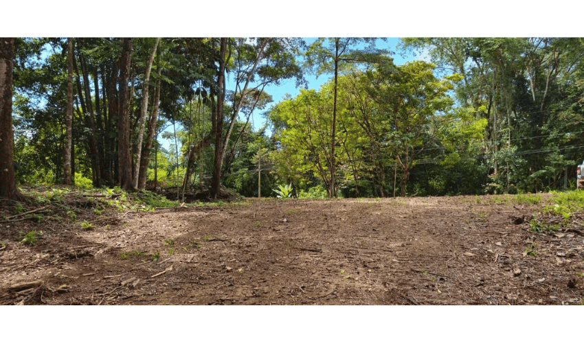 Uvita, Osa, 60504, ,Land,For Sale,Uvita,1091