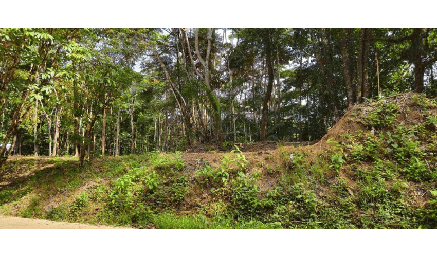 Uvita, Osa, 60504, ,Land,For Sale,Uvita,1091