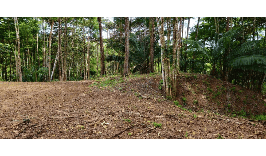 Uvita, Osa, 60504, ,Land,For Sale,Uvita,1091