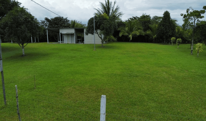 San Pedro, Perez Zeledon, 11905, ,Land,For Sale,San Pedro,1093