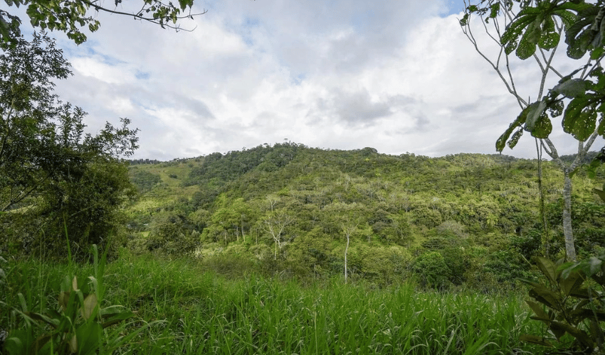 La Palma, Perez Zeledon, 11904, ,Land,For Sale,La Palma,1094