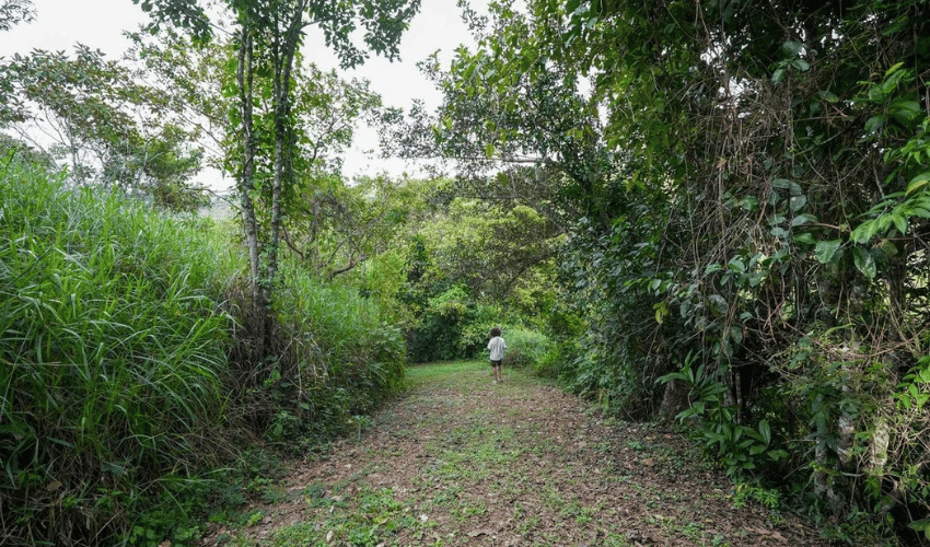 La Palma, Perez Zeledon, 11904, ,Land,For Sale,La Palma,1094