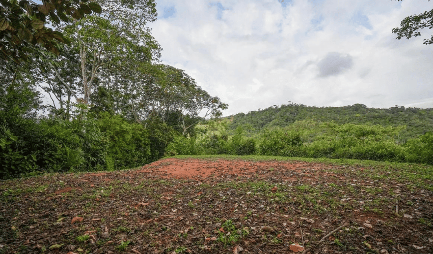 La Palma, Perez Zeledon, 11904, ,Land,For Sale,La Palma,1094