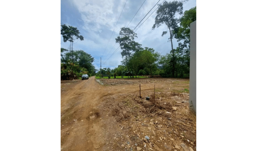 Bahia Ballena, Osa, 60504, ,Land,For Sale,Bahia Ballena,1095