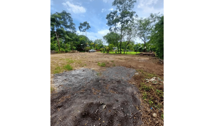 Bahia Ballena, Osa, 60504, ,Land,For Sale,Bahia Ballena,1095