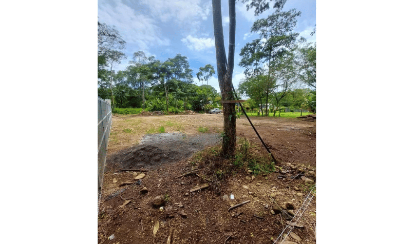 Bahia Ballena, Osa, 60504, ,Land,For Sale,Bahia Ballena,1095