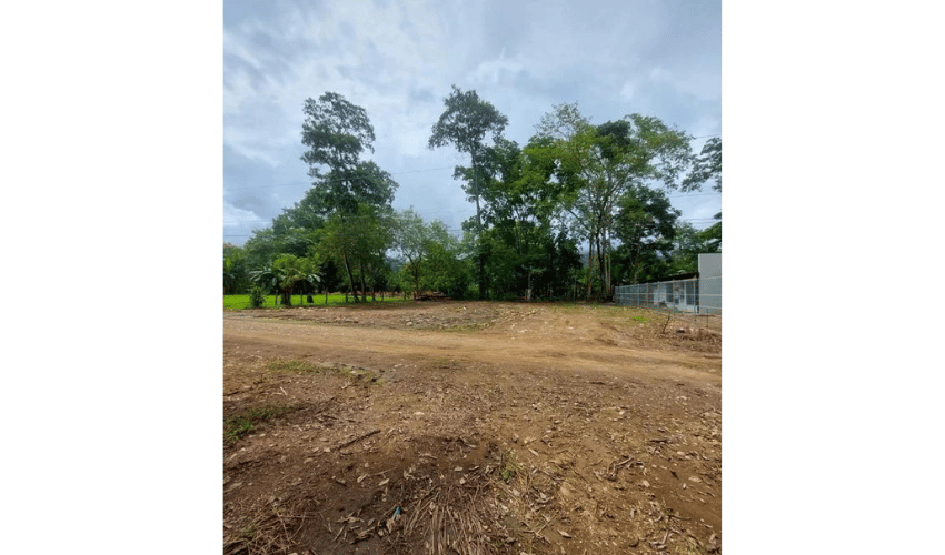 Bahia Ballena, Osa, 60504, ,Land,For Sale,Bahia Ballena,1095