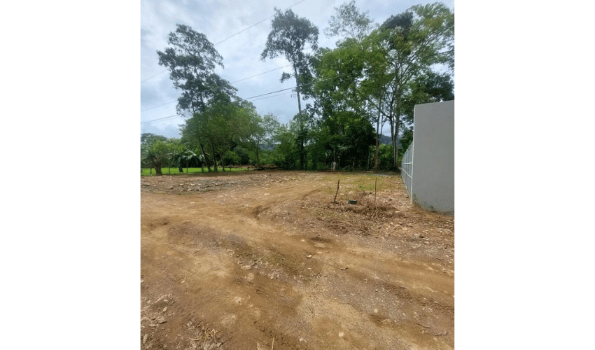 Bahia Ballena, Osa, 60504, ,Land,For Sale,Bahia Ballena,1095