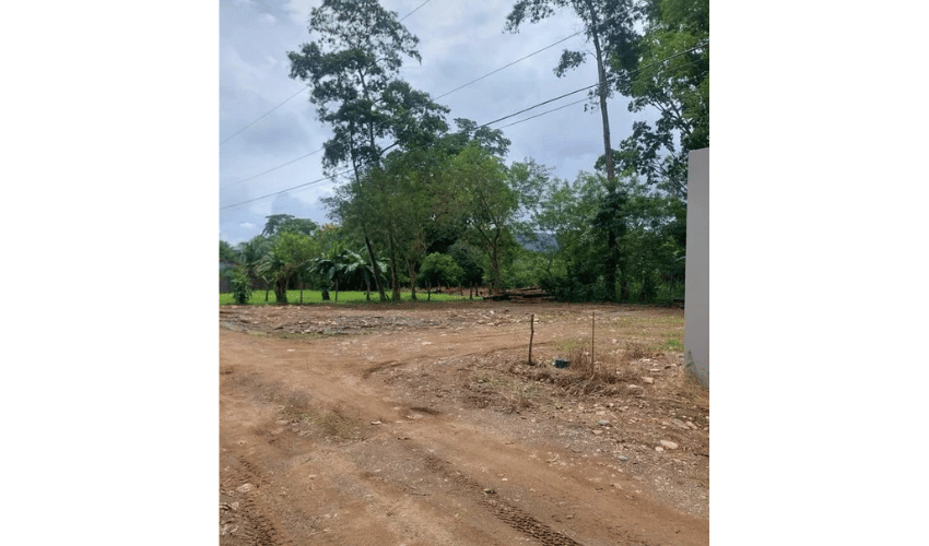 Bahia Ballena, Osa, 60504, ,Land,For Sale,Bahia Ballena,1095