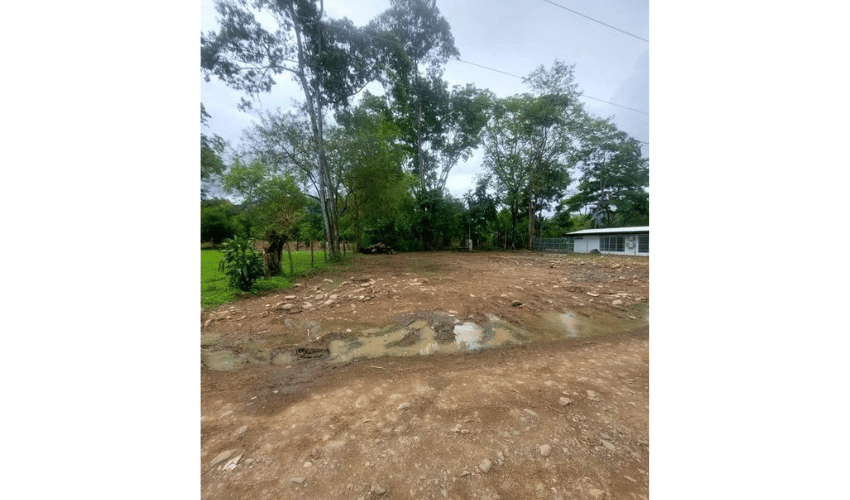 Bahia Ballena, Osa, 60504, ,Land,For Sale,Bahia Ballena,1095