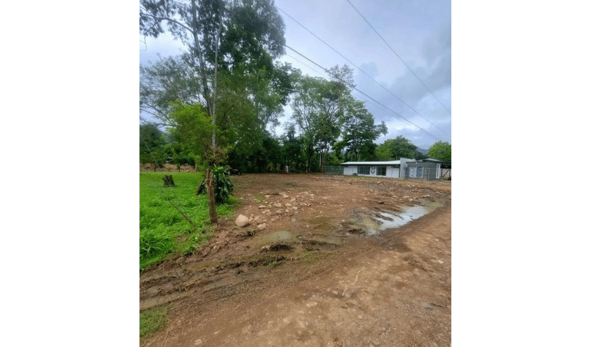 Bahia Ballena, Osa, 60504, ,Land,For Sale,Bahia Ballena,1095