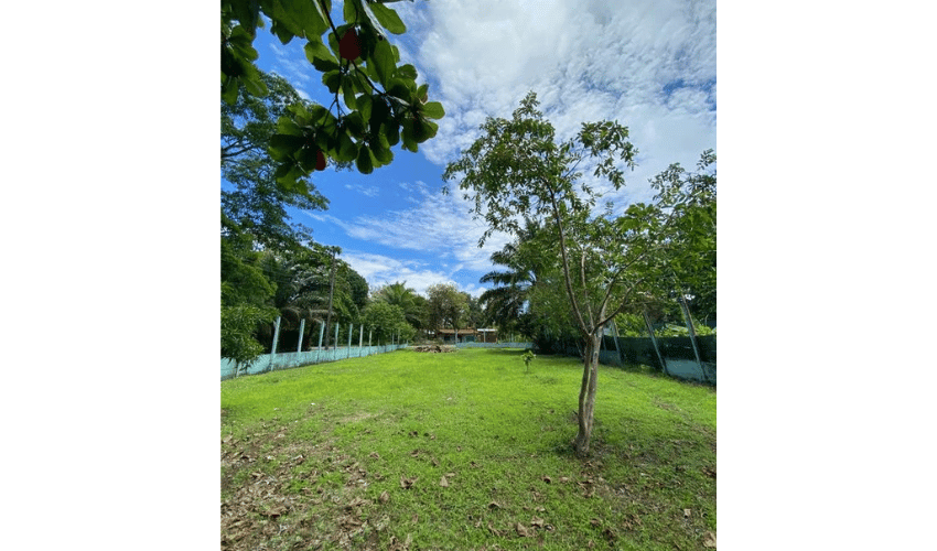 Matapalo, Quepos, 60602, ,Land,For Sale,Matapalo,1096