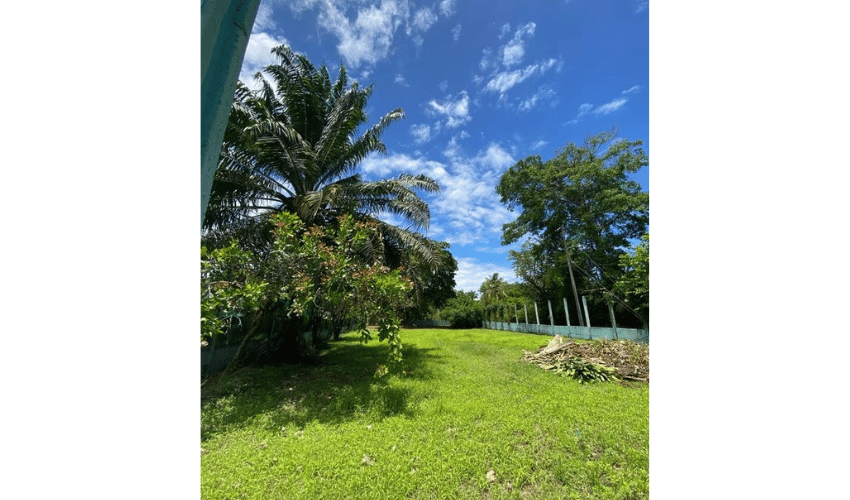 Matapalo, Quepos, 60602, ,Land,For Sale,Matapalo,1096