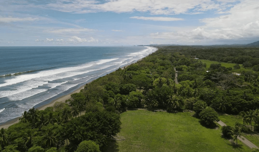 Matapalo, Quepos, 60602, ,Land,For Sale,Matapalo,1096