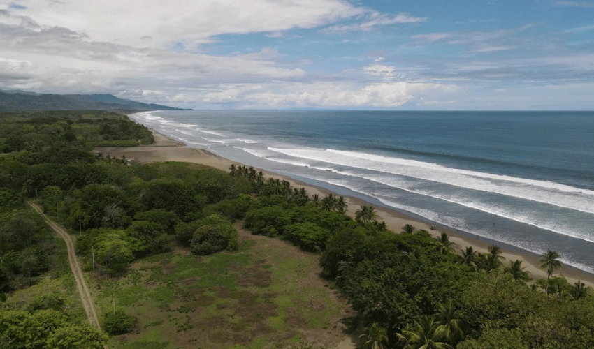 Matapalo, Quepos, 60602, ,Land,For Sale,Matapalo,1096