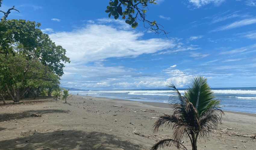 Matapalo, Quepos, 60602, ,Land,For Sale,Matapalo,1096