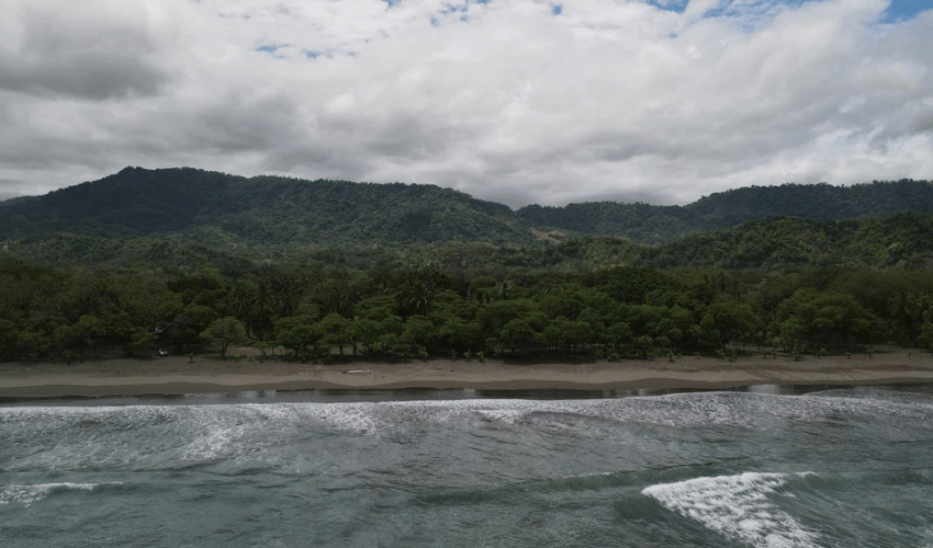 Matapalo, Quepos, 60602, ,Land,For Sale,Matapalo,1096