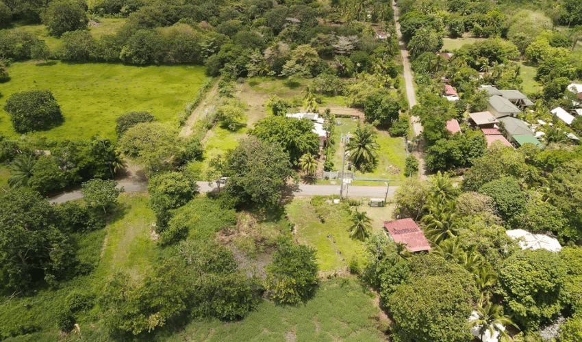 Matapalo, Quepos, 60602, ,Land,For Sale,Matapalo,1096