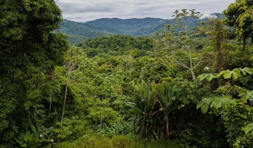 Platanillo, Perez Zeledon, 11909, ,Land,For Sale,Platanillo,1097