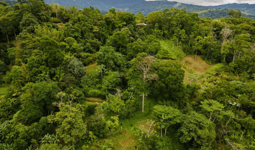 Platanillo, Perez Zeledon, 11909, ,Land,For Sale,Platanillo,1097