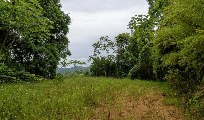 Platanillo, Perez Zeledon, 11909, ,Land,For Sale,Platanillo,1097