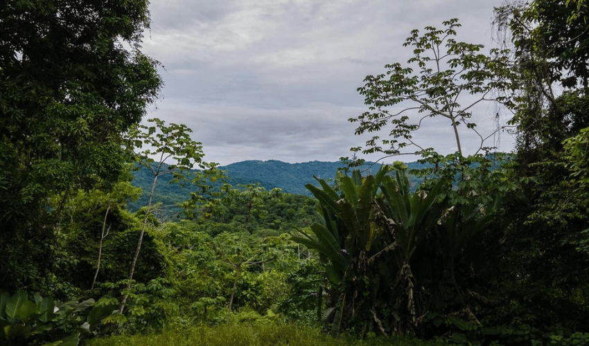 Platanillo, Perez Zeledon, 11909, ,Land,For Sale,Platanillo,1097