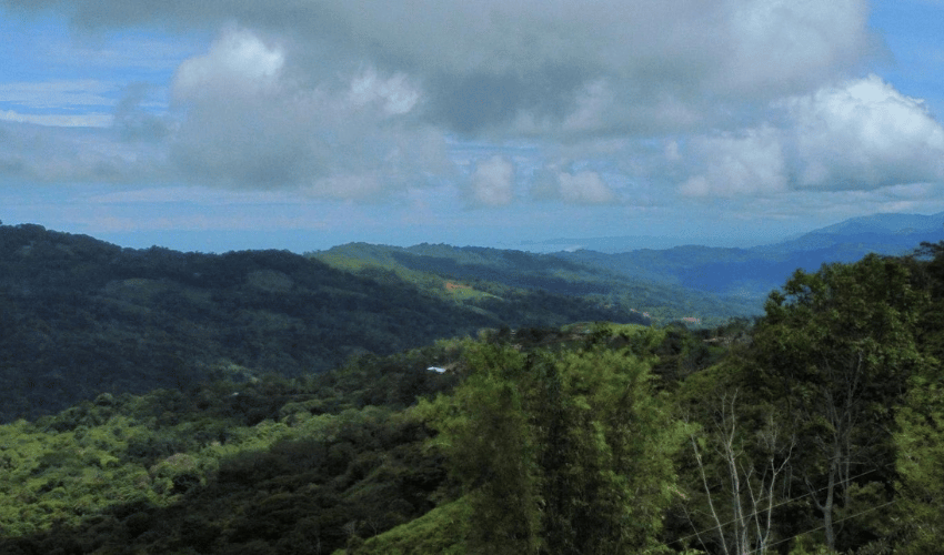 San Salvador de Baru, Perez Zeledon, 11909, ,Land,For Sale,San Salvador de Baru,1099