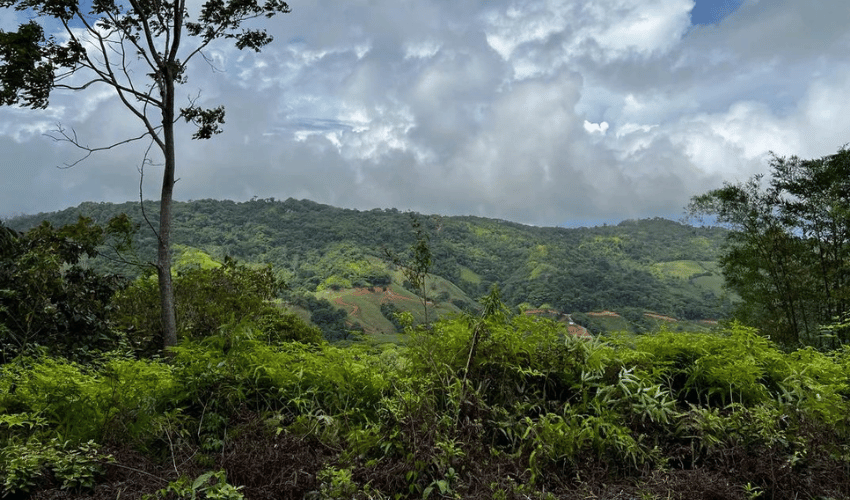 San Salvador de Baru, Perez Zeledon, 11909, ,Land,For Sale,San Salvador de Baru,1099