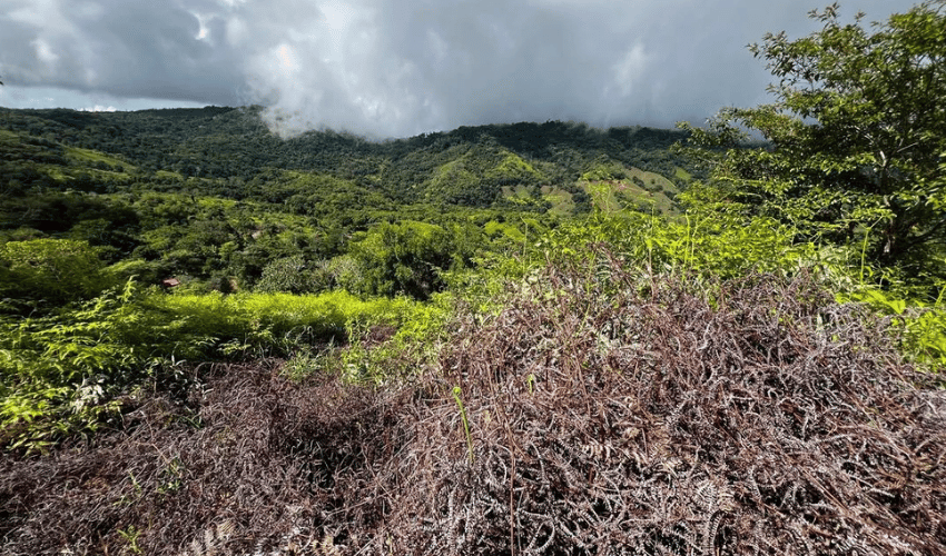 San Salvador de Baru, Perez Zeledon, 11909, ,Land,For Sale,San Salvador de Baru,1099