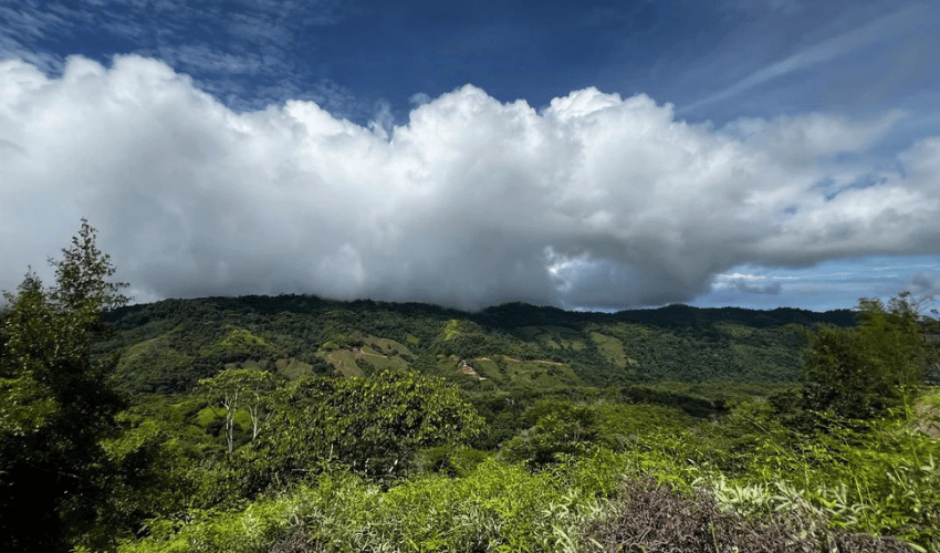 San Salvador de Baru, Perez Zeledon, 11909, ,Land,For Sale,San Salvador de Baru,1099