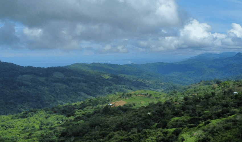 San Salvador de Baru, Perez Zeledon, 11909, ,Land,For Sale,San Salvador de Baru,1099