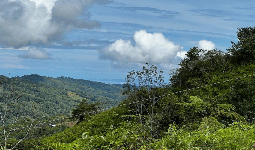 San Salvador de Baru, Perez Zeledon, 11909, ,Land,For Sale,San Salvador de Baru,1099