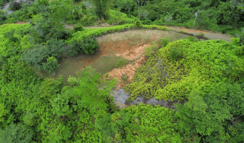 San Salvador de Baru, Perez Zeledon, 11909, ,Land,For Sale,San Salvador de Baru,1099