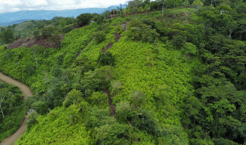 San Salvador de Baru, Perez Zeledon, 11909, ,Land,For Sale,San Salvador de Baru,1099