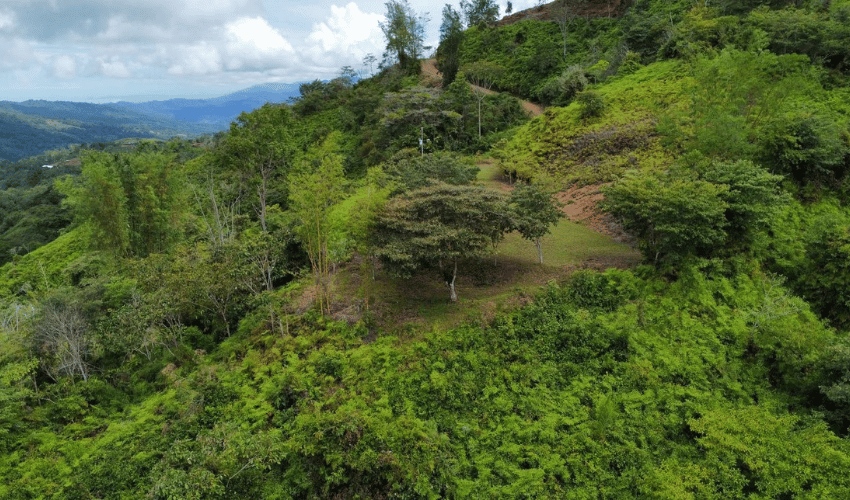 San Salvador de Baru, Perez Zeledon, 11909, ,Land,For Sale,San Salvador de Baru,1099