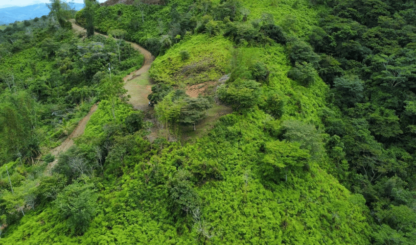 San Salvador de Baru, Perez Zeledon, 11909, ,Land,For Sale,San Salvador de Baru,1099