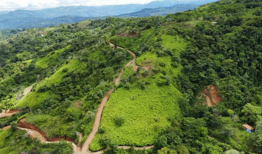 San Salvador de Baru, Perez Zeledon, 11909, ,Land,For Sale,San Salvador de Baru,1099