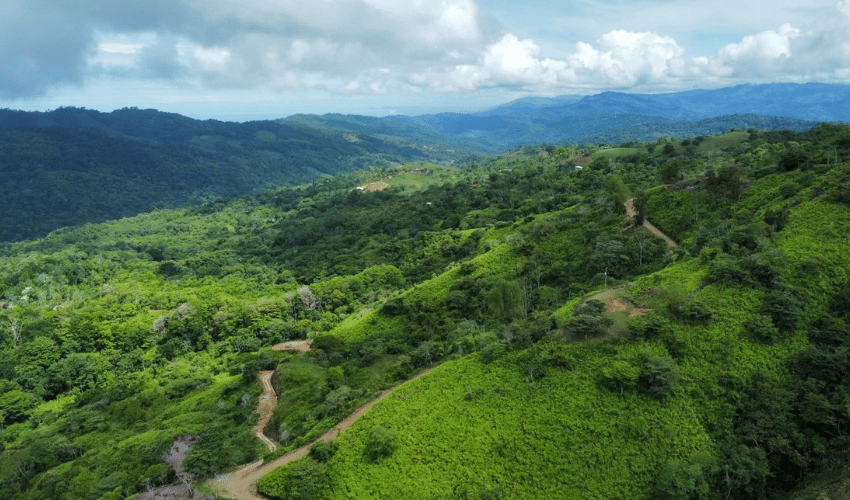 San Salvador de Baru, Perez Zeledon, 11909, ,Land,For Sale,San Salvador de Baru,1099