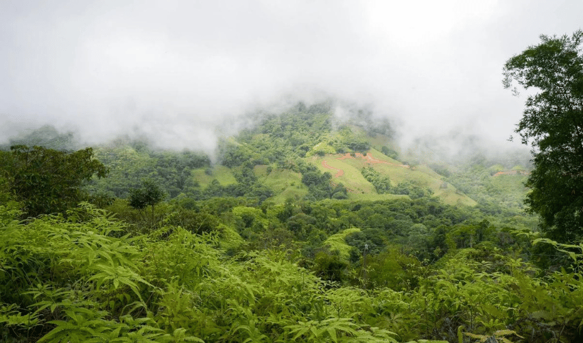 San Salvador de Baru, Perez Zeledon, 11909, ,Land,For Sale,San Salvador de Baru,1099