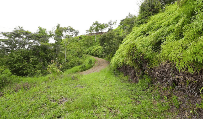 San Salvador de Baru, Perez Zeledon, 11909, ,Land,For Sale,San Salvador de Baru,1099