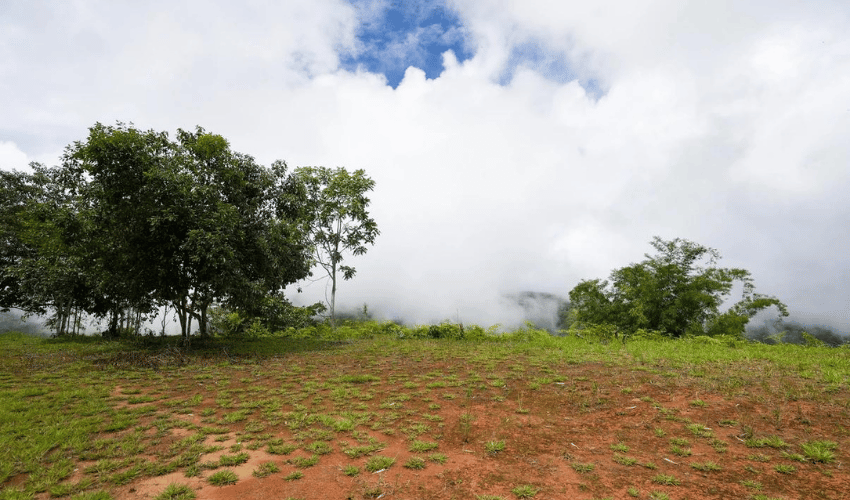 San Salvador de Baru, Perez Zeledon, 11909, ,Land,For Sale,San Salvador de Baru,1099