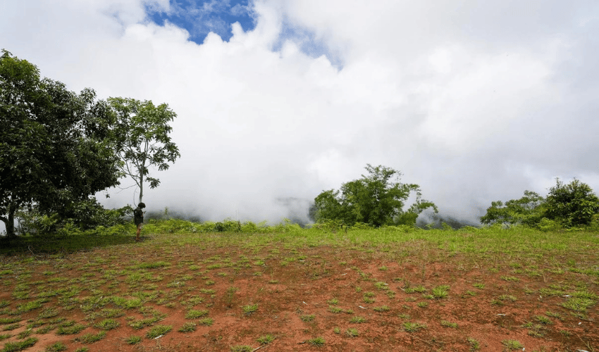 San Salvador de Baru, Perez Zeledon, 11909, ,Land,For Sale,San Salvador de Baru,1099