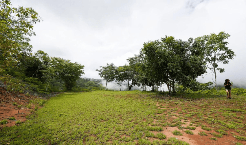 San Salvador de Baru, Perez Zeledon, 11909, ,Land,For Sale,San Salvador de Baru,1099