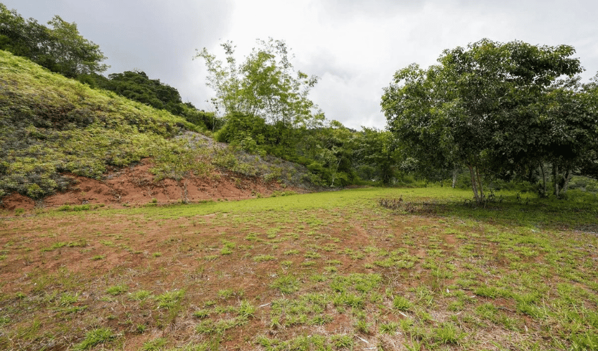 San Salvador de Baru, Perez Zeledon, 11909, ,Land,For Sale,San Salvador de Baru,1099