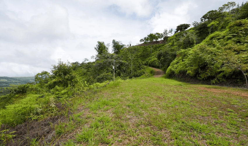 San Salvador de Baru, Perez Zeledon, 11909, ,Land,For Sale,San Salvador de Baru,1099