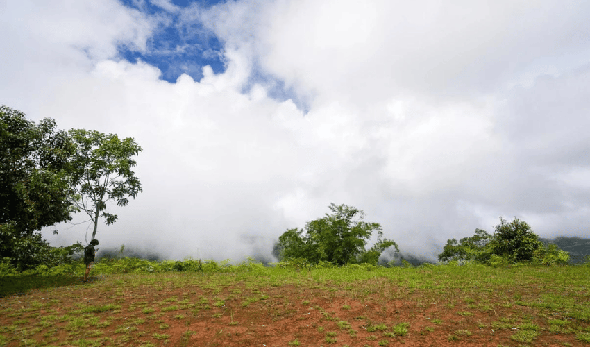 San Salvador de Baru, Perez Zeledon, 11909, ,Land,For Sale,San Salvador de Baru,1099